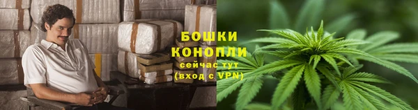 2c-b Козловка