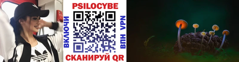 Галлюциногенные грибы Cubensis  Белгород 